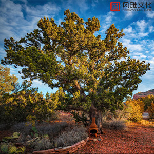 宋雨琦喷水自慰好爽

